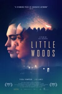 فيلم Little Woods 2018 مترجم اون لاين